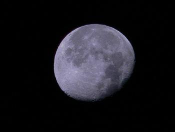 Mond 1