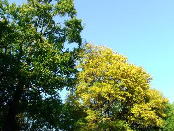 The Colours of Autumn