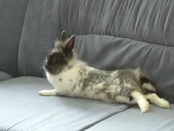 Auf dem Sofa dsen ...