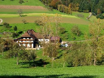 Ganz alleine auf weiter Flur