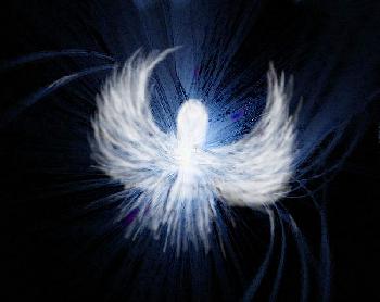 Licht........