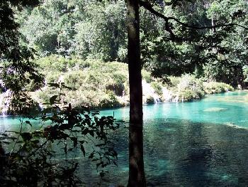Semuc Champey