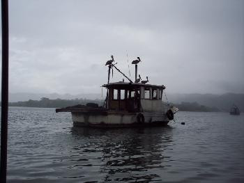 Fischkutter am Rio Dulce