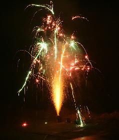 Sylvester 2006/1