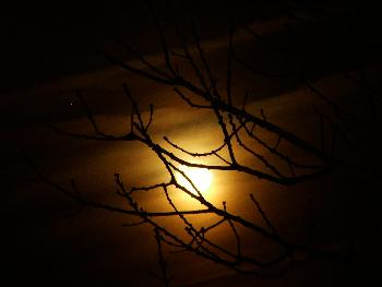 Werewolf's Moon (370mm. cloud scene)
