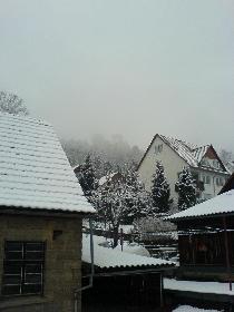 Blick aus meinem Fenster