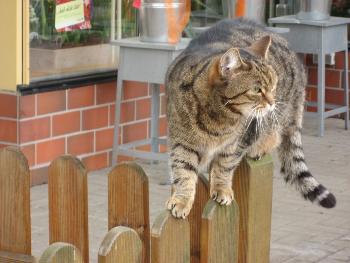 Seelensturm: Ich sehe was, was Du nicht siehst.