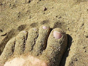 Paniert. So F�HLT man die Natur und den Urlaub...