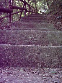 The Path