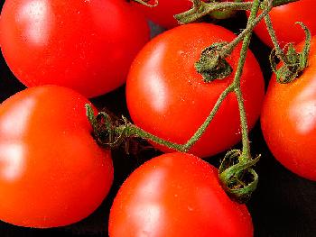 Tomaten