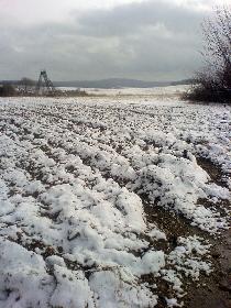 Schnee im Erzgebirge (Schneeberg)