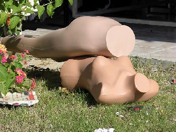 Sie konnten nicht an sich halten...