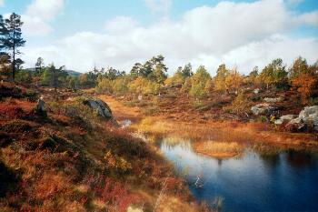 Norwegen 2005, mein Auto gnnte sich bei 333.333 km eine kleine Pause und da fand ich das:
