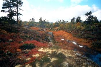 das ist auch bei km 333.333.....