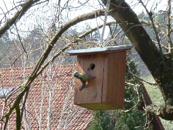 Huch, ist das rutschig ...(leider nicht ganz scharf, aber ein lustiger Schnappschuss)