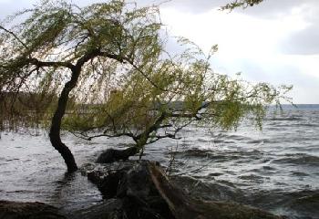 sophilo: st�rmischer Havelstrand