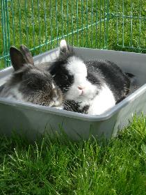So lsst es sich aushalten... Mu Liebe schn sein :O)