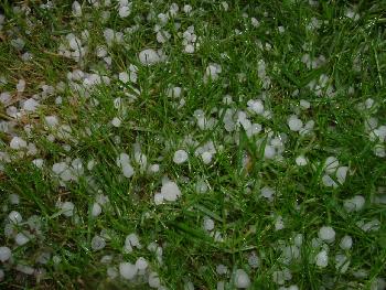 Hagel im Garten am 26.05.07 ...