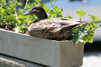 sch�nes Pl�tzchen