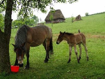 Mhhhmm, was gibt`s da feines?