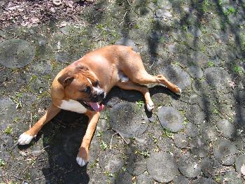 Jetzt muss ich mich erstmal ausruhen