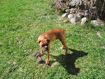 Was ist, willst du jetzt nicht mehr mit mir spielen?