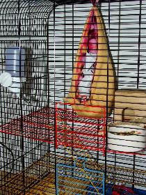 Broscha und K�chent�cher - Part One - Vorbereitung