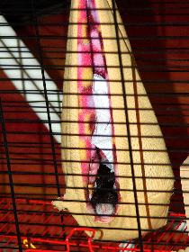 Broscha und K�chent�cher - Part Two - Wohnst du schon?