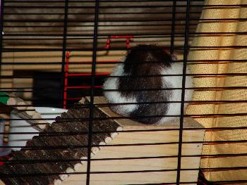 Broschas Hintern - Extra auf Gigis Wunsch :)