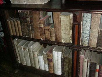 Nur ein winziger Teil der B�chersammlung ...