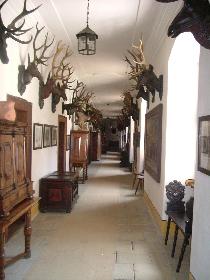 Der beeindruckende Gang zu den Zimmern ...