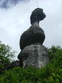Felsenfigur ... ( hab leider den Namen vergessen )