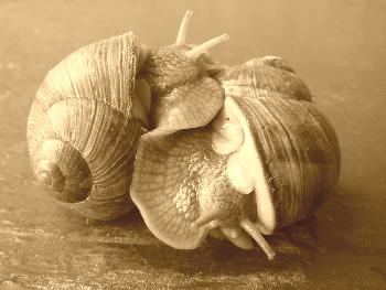 Starbug: Wenn das nicht Liebe ist....(1)