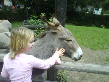 wistful: Meine Tochter mit dem Esel