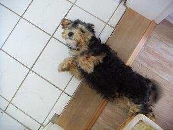 Man wird f�rmlich gezwungen zu streicheln :D