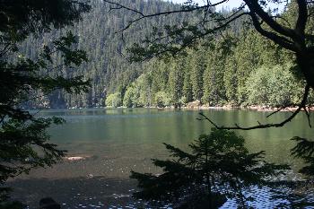 Cerne jezero ( Schwarzsee )
