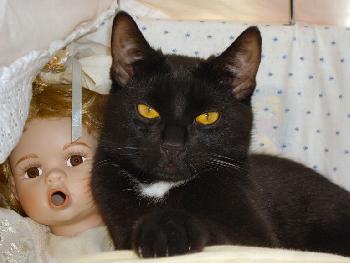 Lill-Lee: Grosses Staunen und ein Hauch von L�ssigkeit