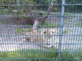 So hats Frau bequem =)