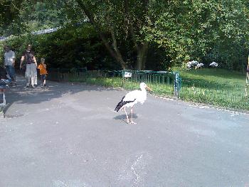 Draussen is es halt sch�ner als im K�fig =)