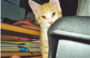 Guck Guck...ich bin hier =)