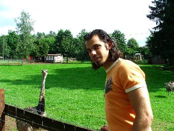 Zwei am Posieren (Schotten Vogelpark)