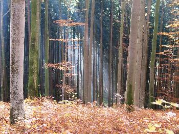 Sch�nheit_pur_Licht und Schatten