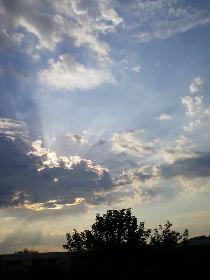 nach Gewitter, 17.7.`07