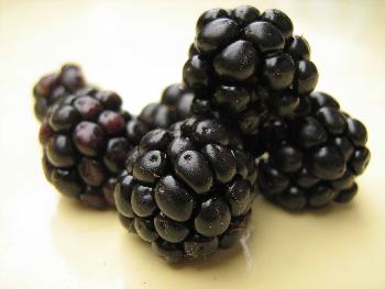 Brombeeren