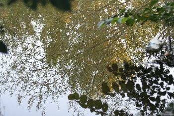 Spiegelung im Auffangbecken