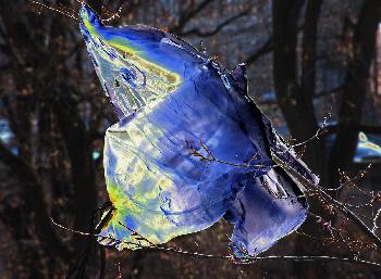 ferry: Vereinsamte Plastikt�te