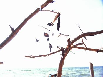 Reglindis: Windspiel