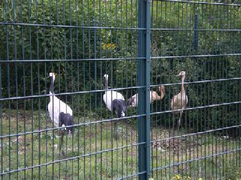 Vater, Mutter, Kinder _ Tierpark-Bln.