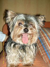 Flora ein treuer Freund