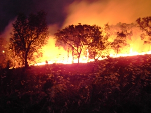 So sah es hier vor einem Jahr aus .... FEUER im Mato